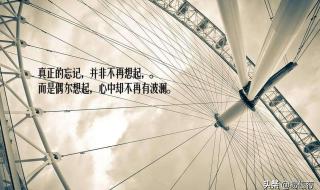 不知不觉已好久不见